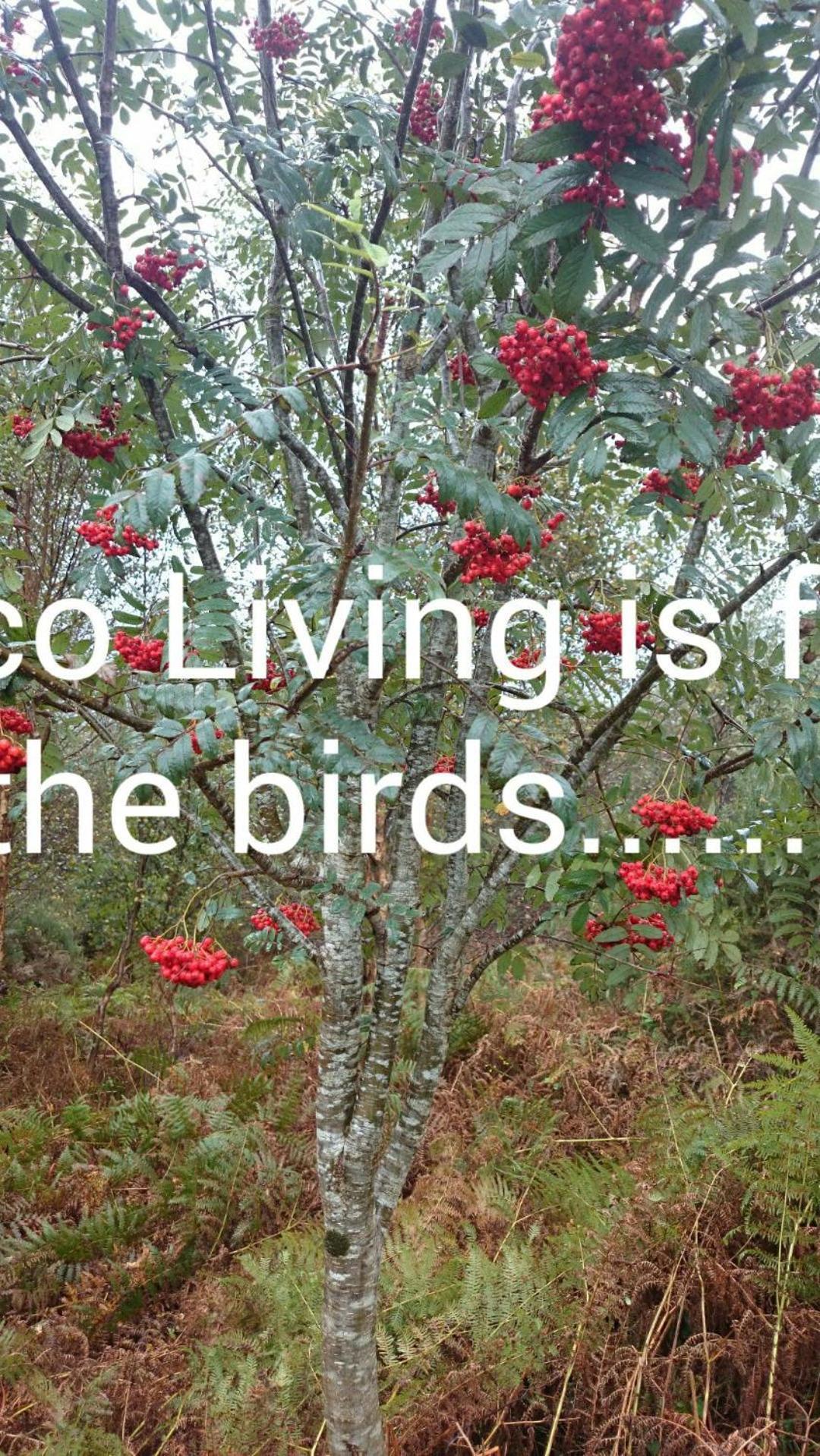 Kenmare Eco Lodge Ngoại thất bức ảnh