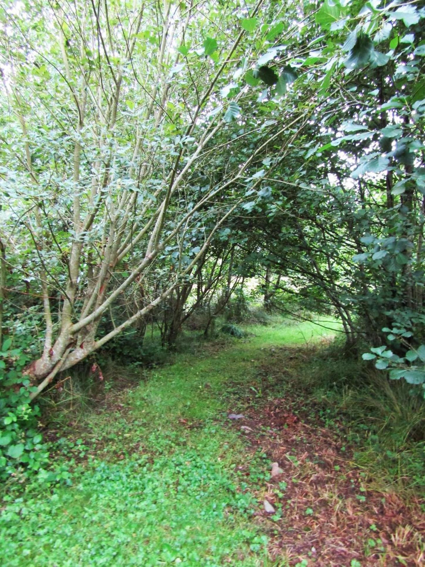 Kenmare Eco Lodge Ngoại thất bức ảnh